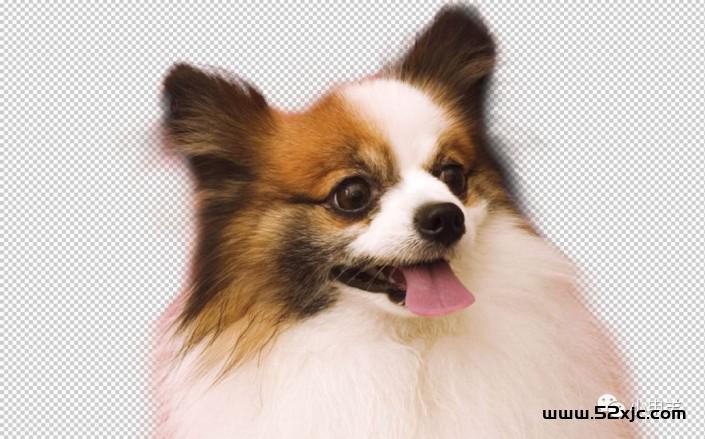 PS通道抠图_通道抠图技能_PS通道抠图教程